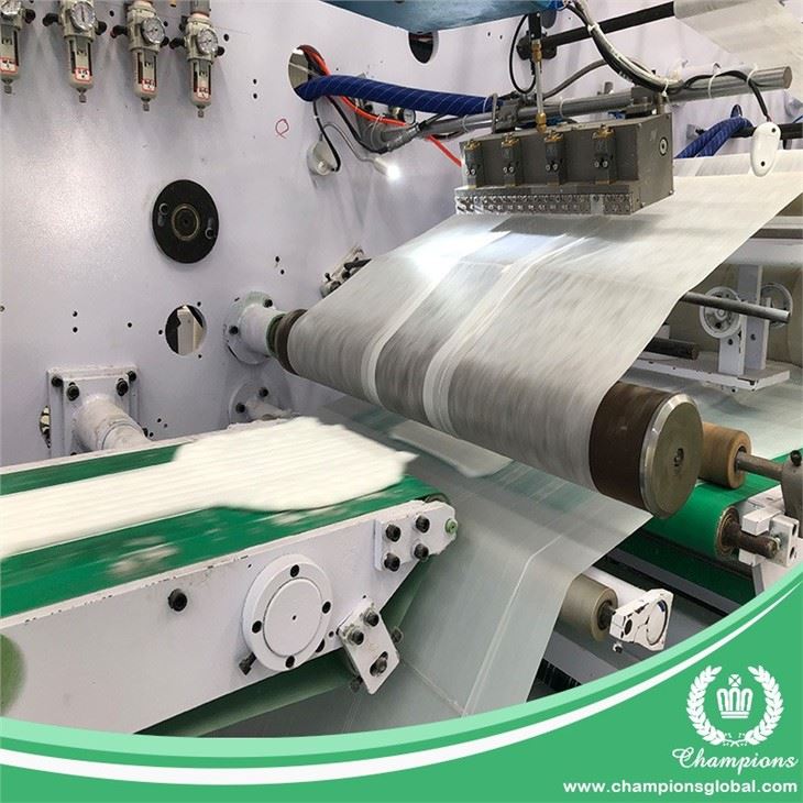 China Automatic Adult Diaper Machine